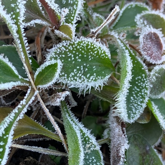 Meet your Posher, Laura - Picture 12 of 16